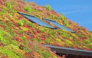 Cauldon Lowe living roof systems